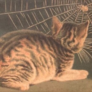 "WATCH OUT"🙀for new listings!!!!!